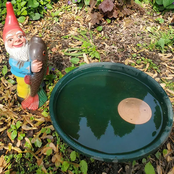 Antimicrobial Copper Bird Bath Purification Disk