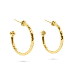 Berry Slice Medium Hoop Earrings - Gold